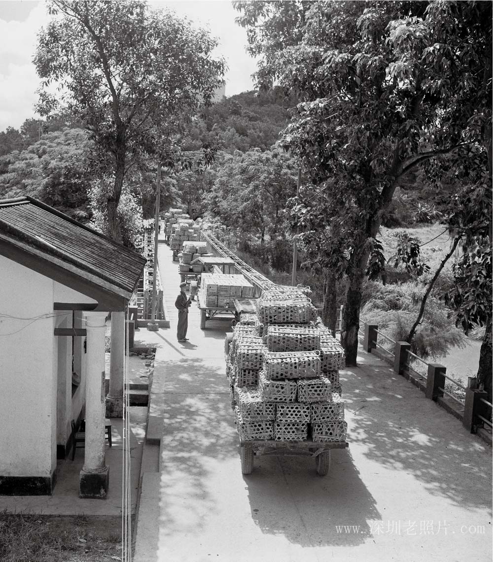 文锦渡职工运货出境(1976)