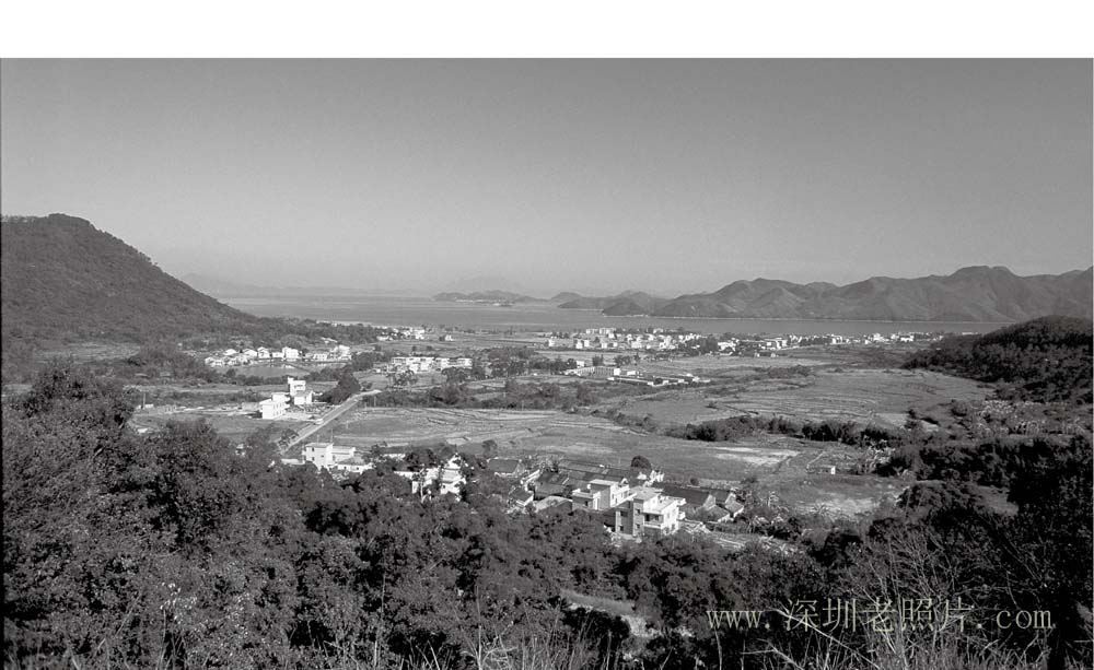 沙头角远眺(1982)