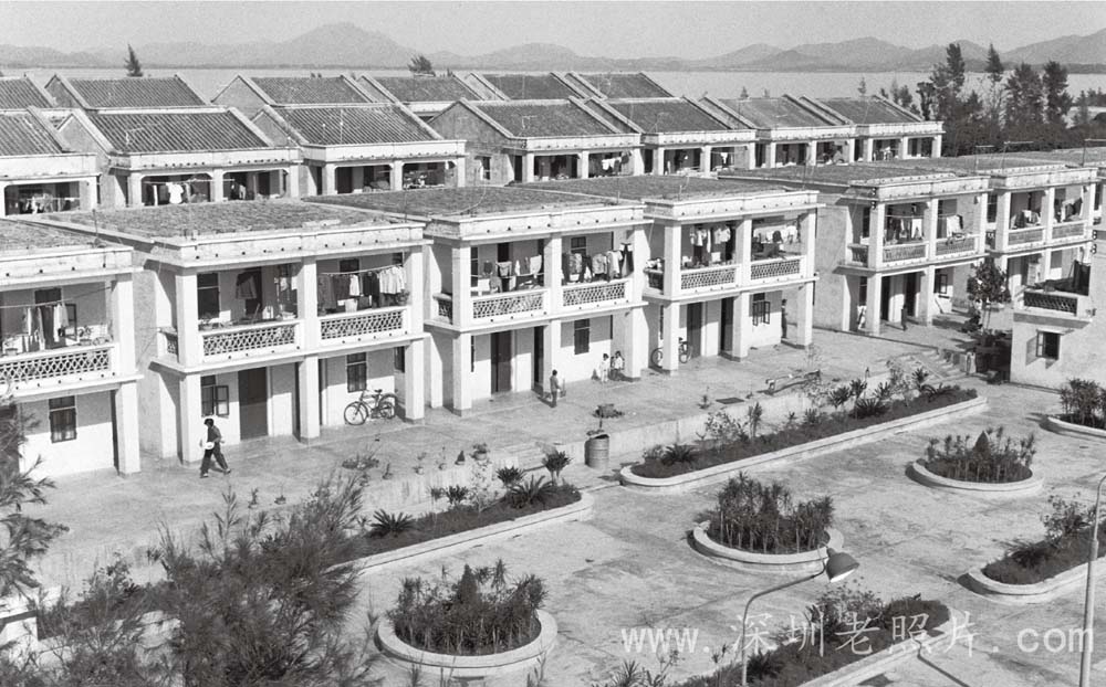 蛇口渔业一大队新居(1971)