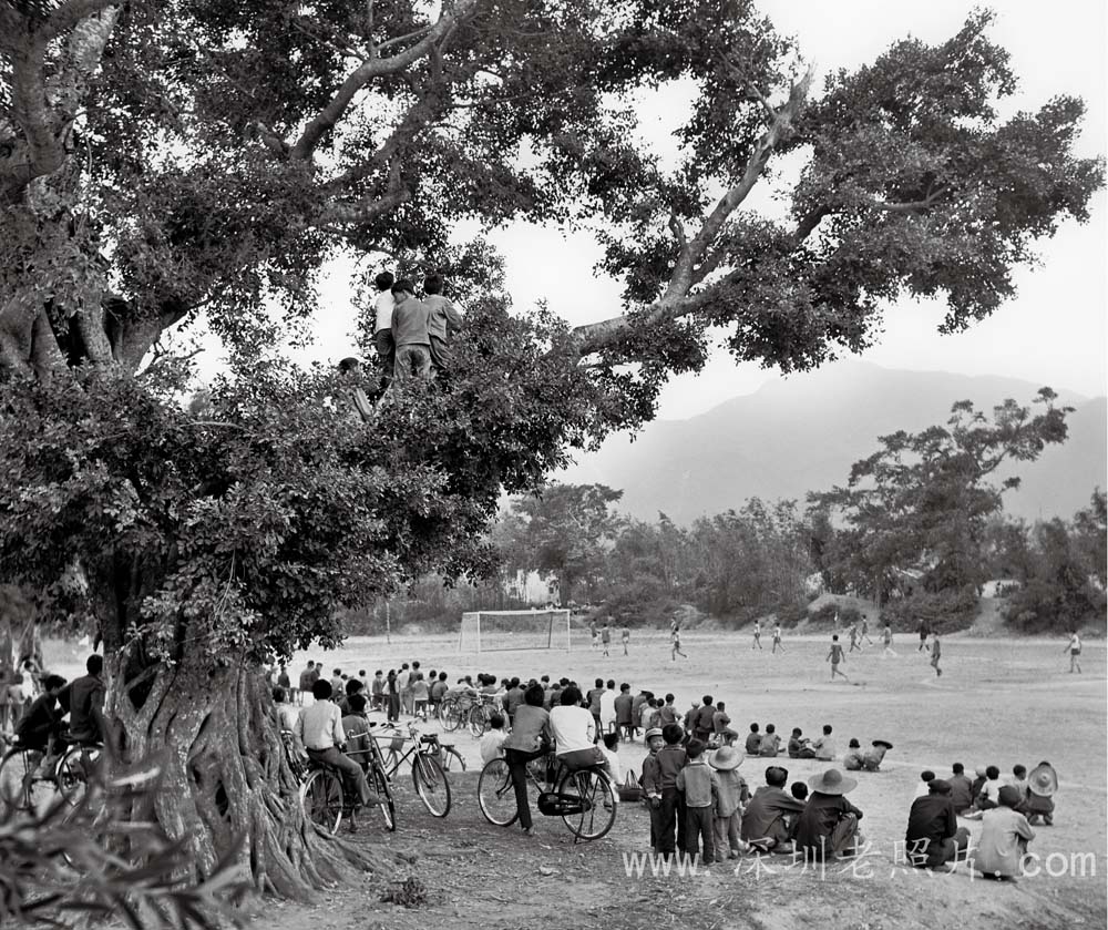 葵冲中学师生喜爱足球运动(1974)