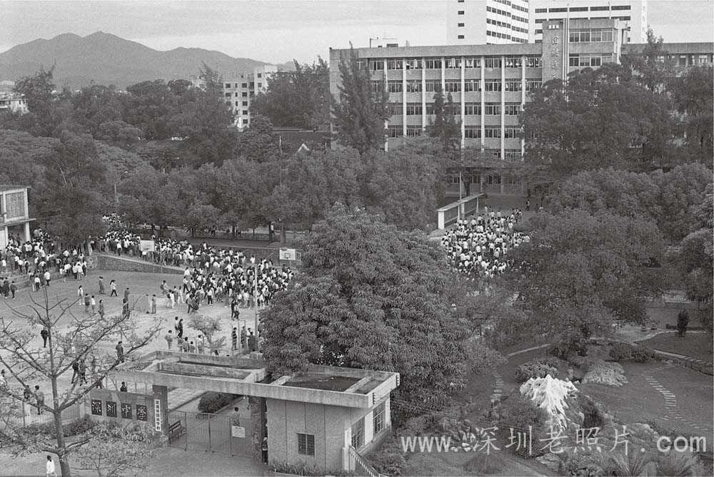 深圳中学(1989)