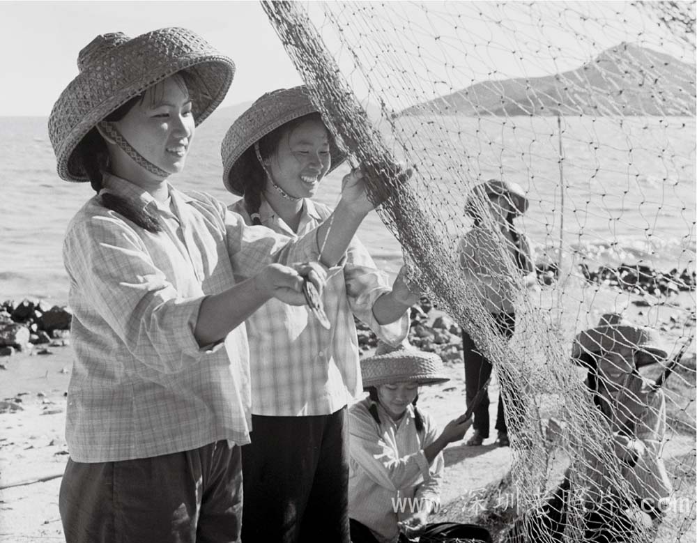 蛇口渔家姑娘(1973)