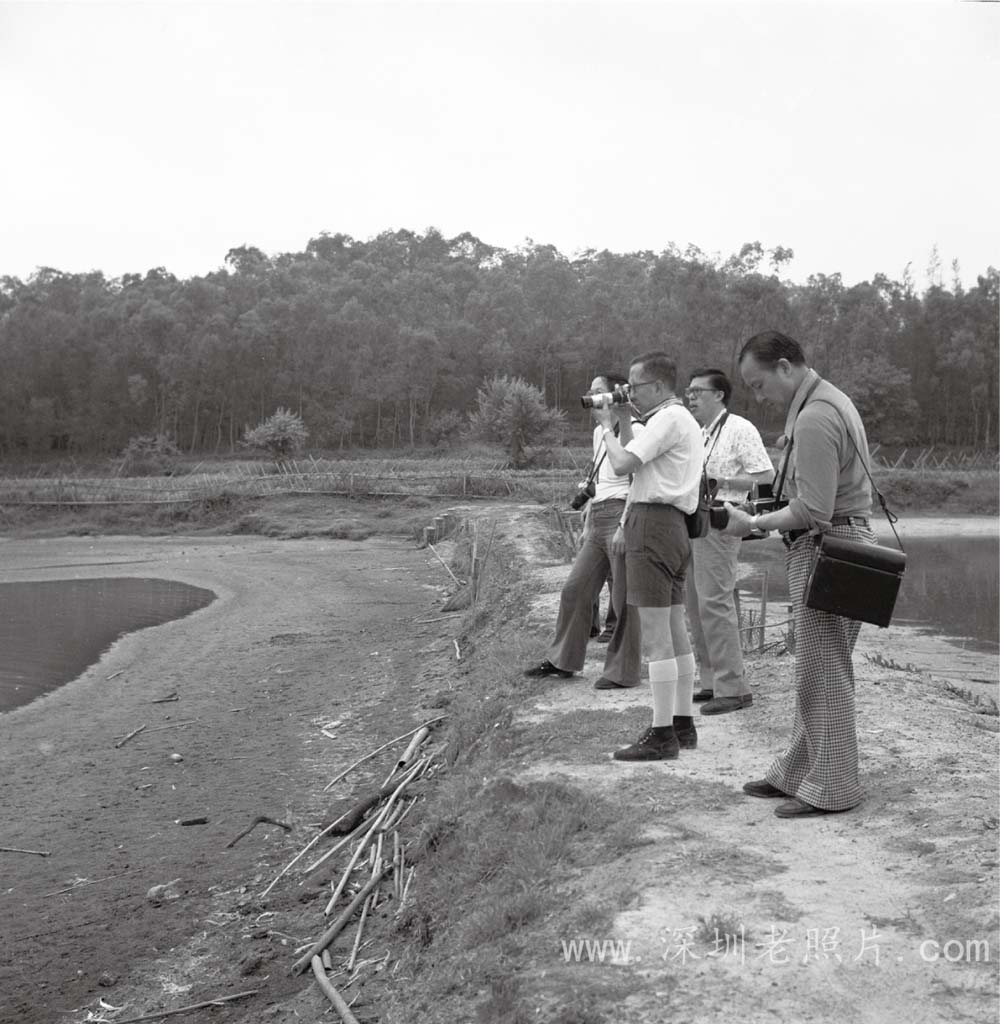 香港摄影家在深圳创作(1977)