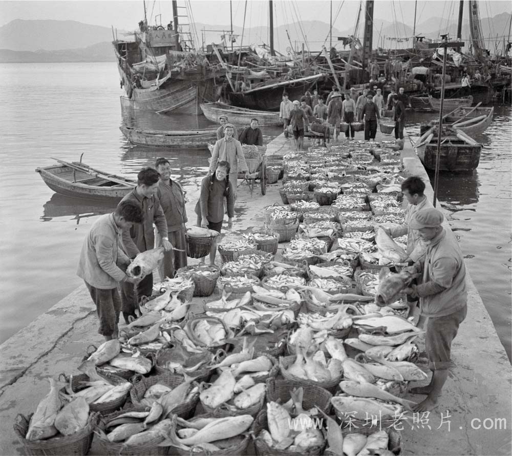 西乡翻身渔业队(1973)