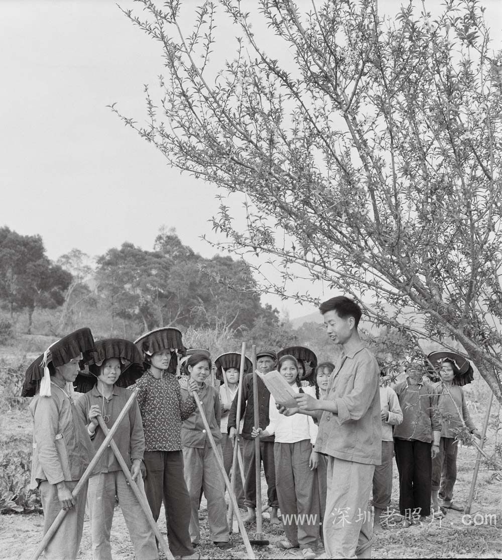 身居边境不外逃的林超强(1974)