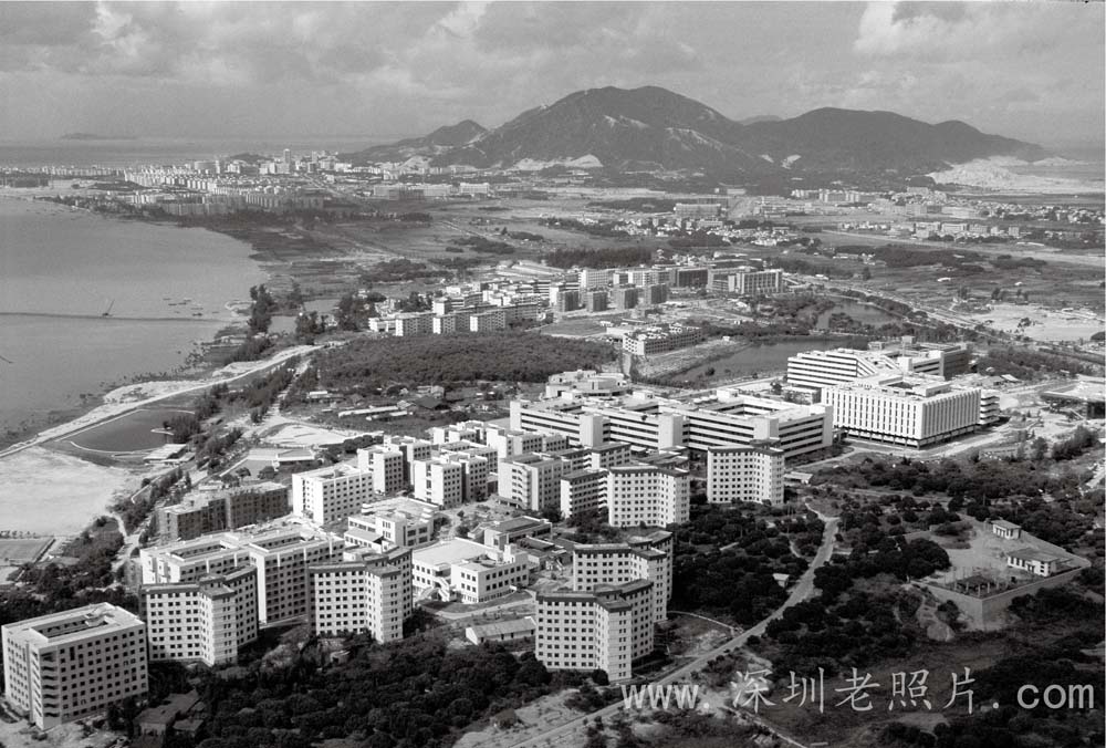 深圳大学(1988)