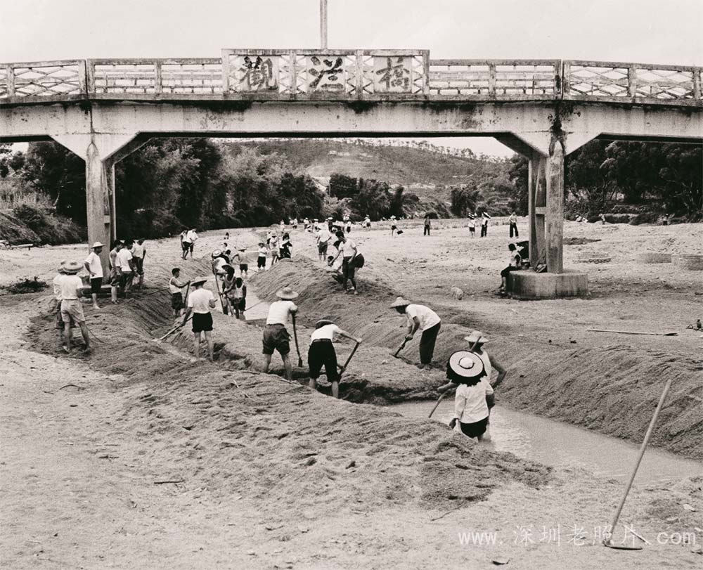 观澜河改造（1974）