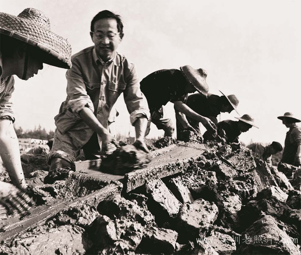 县委机关干部带头劳动