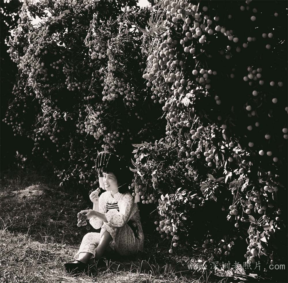 名优特产 --南山荔枝(南头1971)