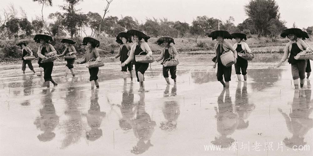下沙大队春播(1976)