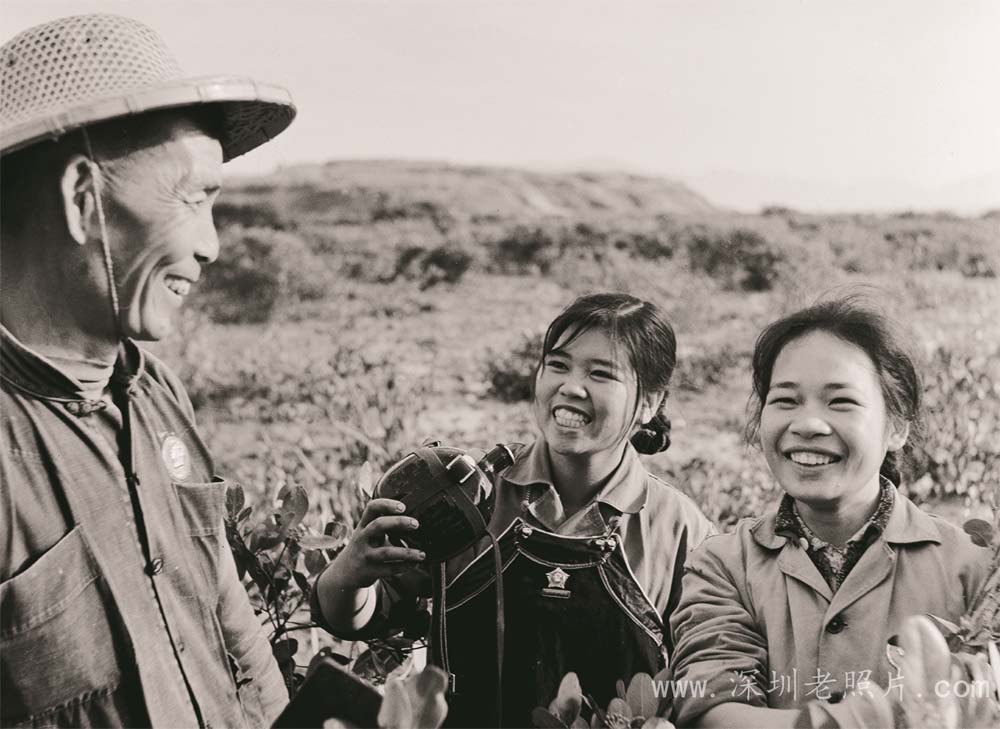 广州知青在翻身（西乡1973）