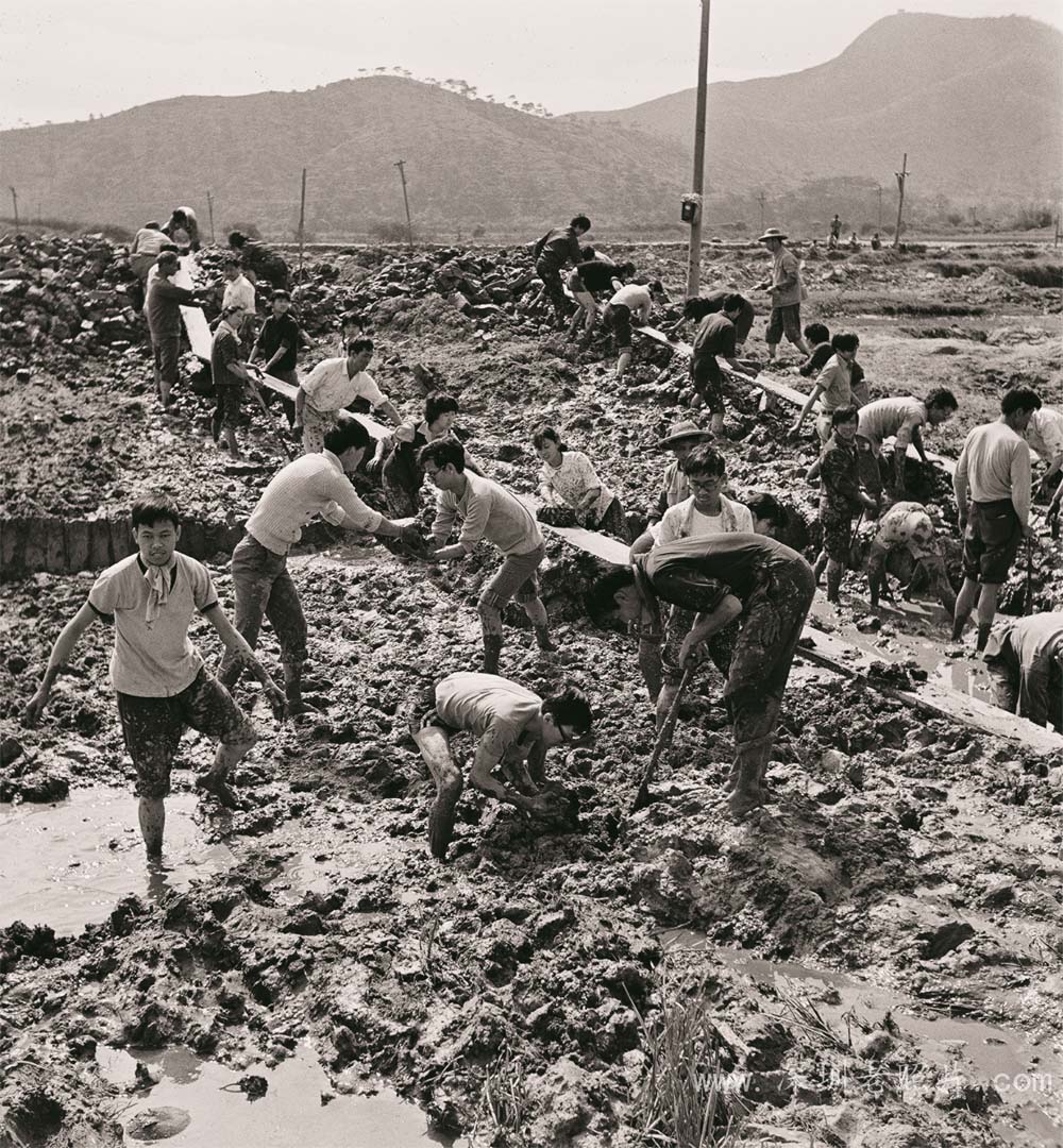 香港学生支援深圳河改造工程(1975)