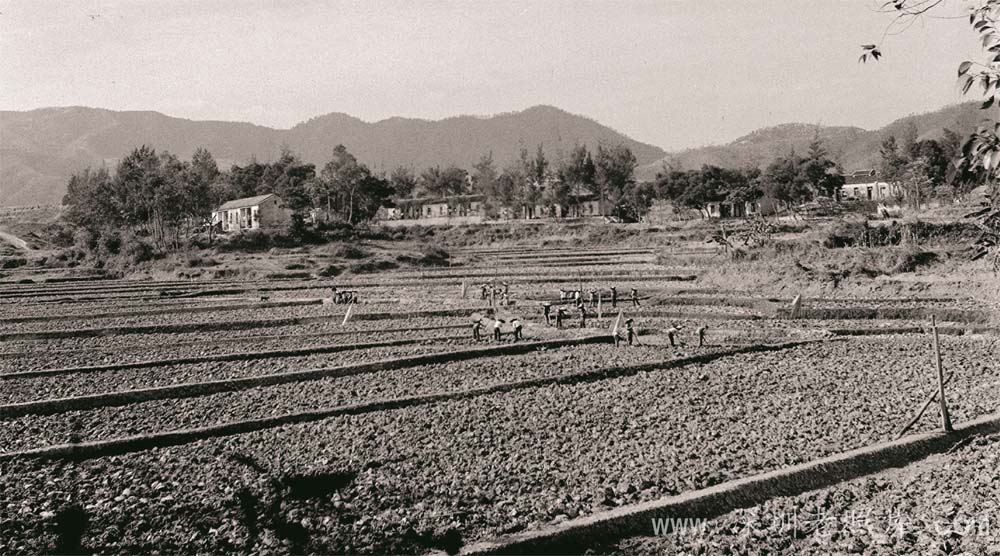 布吉沙西山村景色(1973)