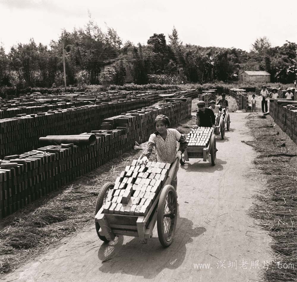 深圳砖厂(1972)