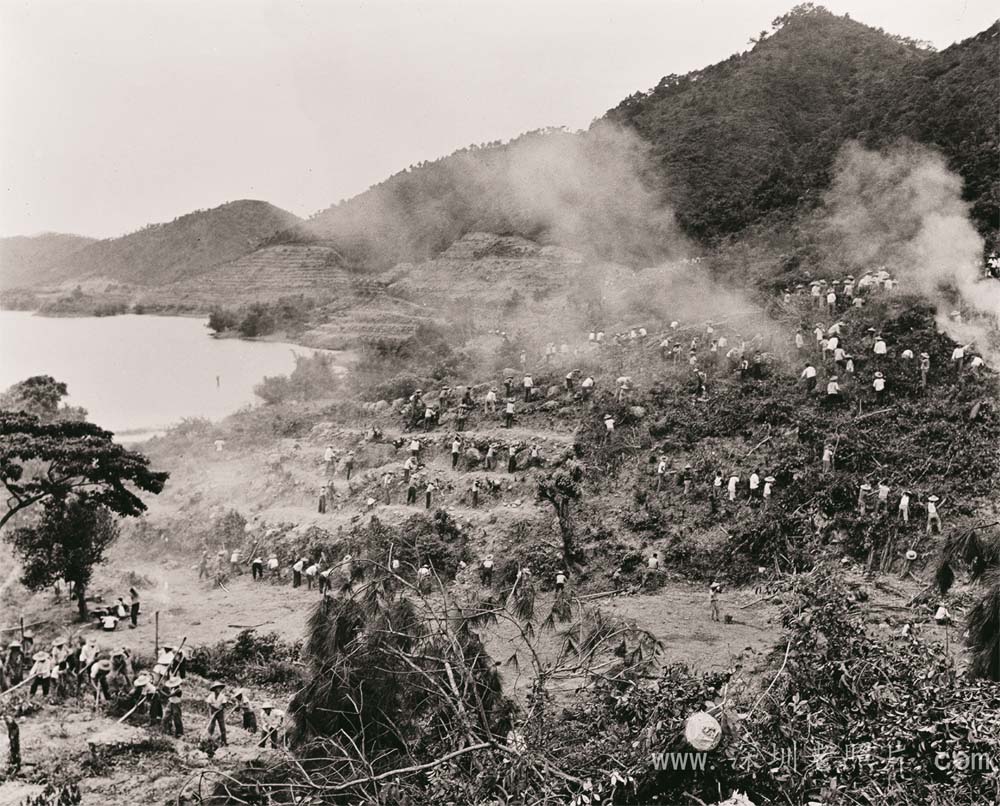 开荒种桔(葵冲1974)