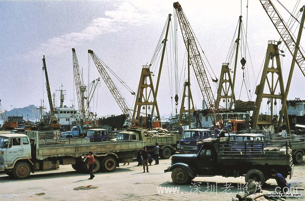 蛇口货运码头投入使用（1981）