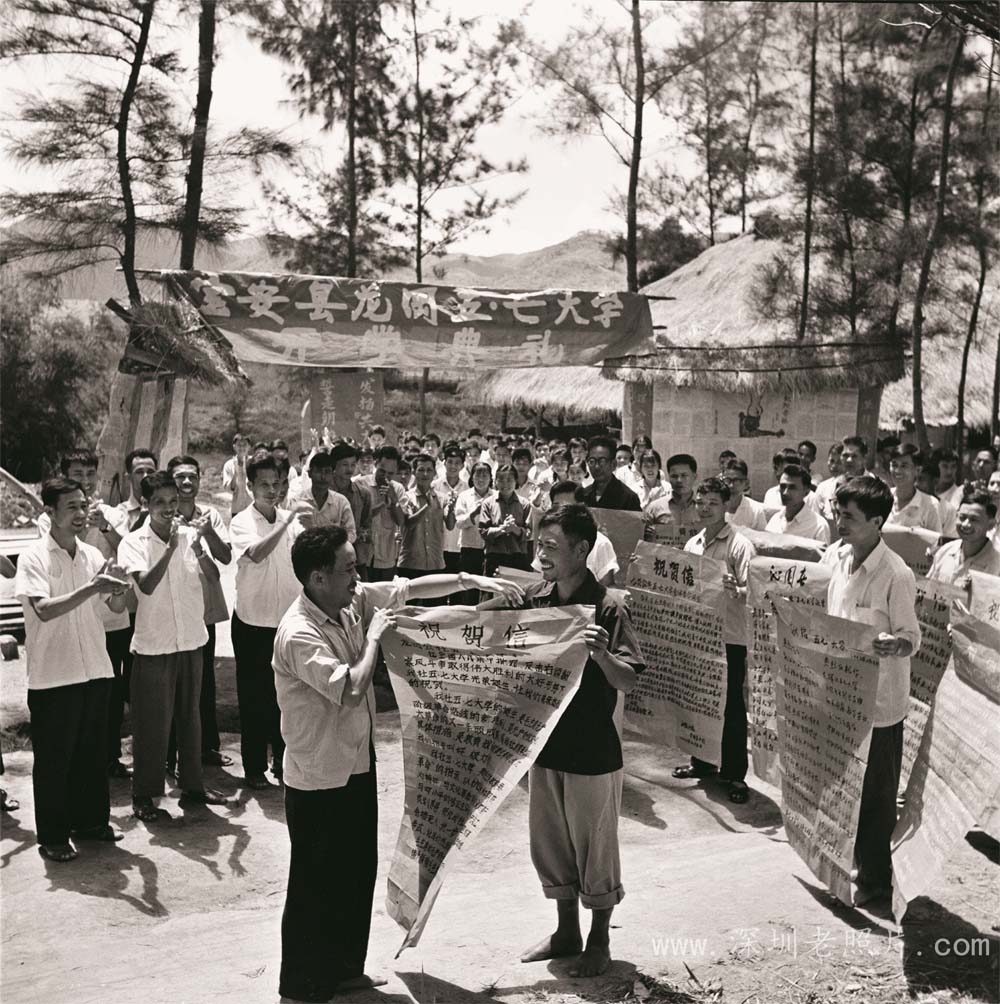 宝安龙岗“五·七”大学开学典礼(1974)