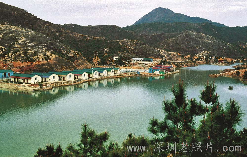 蛇口旅游度假村（1982）