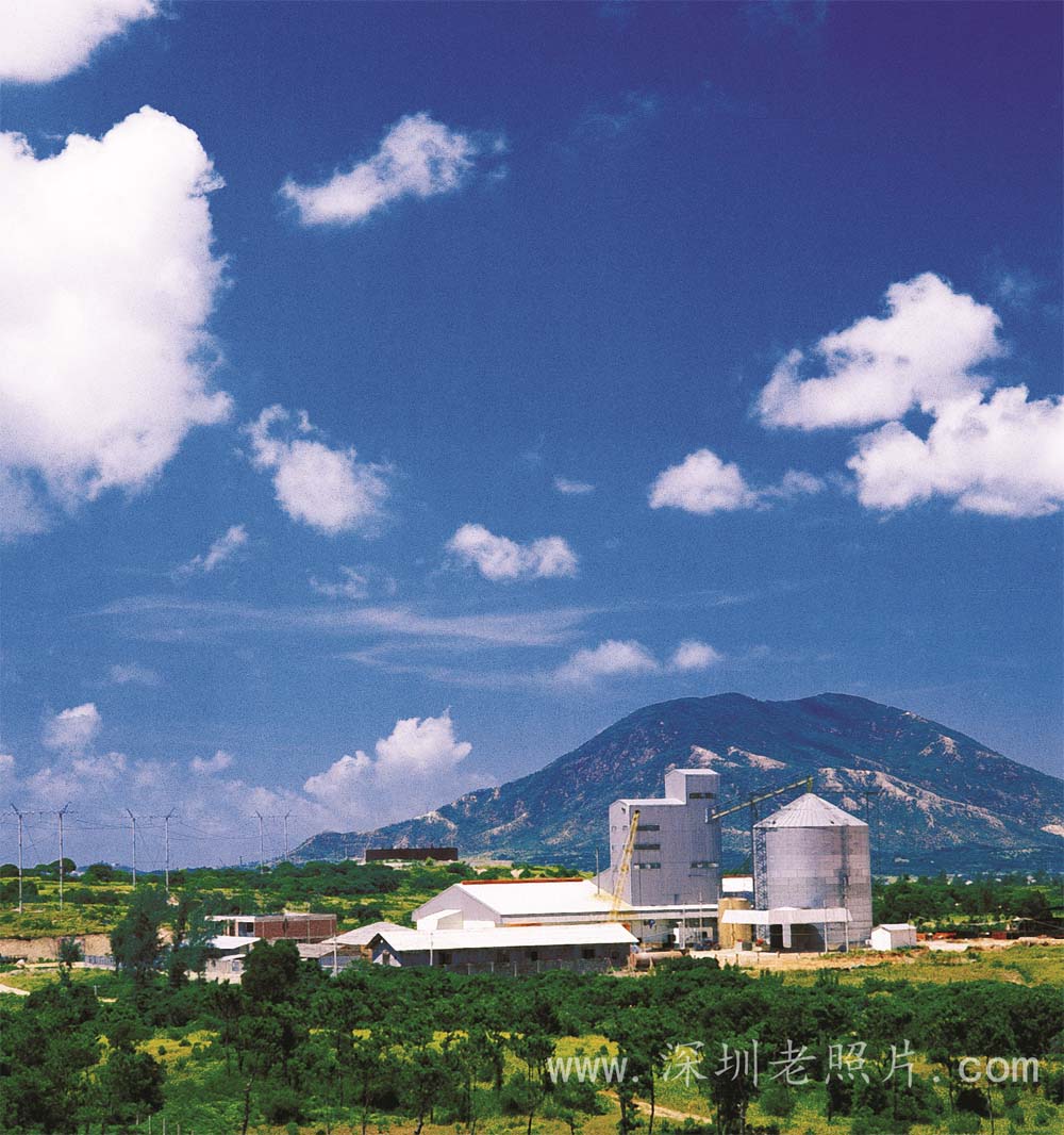 港元独资经营第一个现代化饲料厂