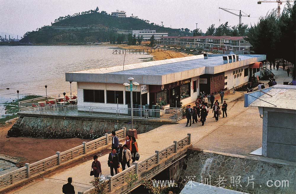 蛇口旅游商店开业（1982）