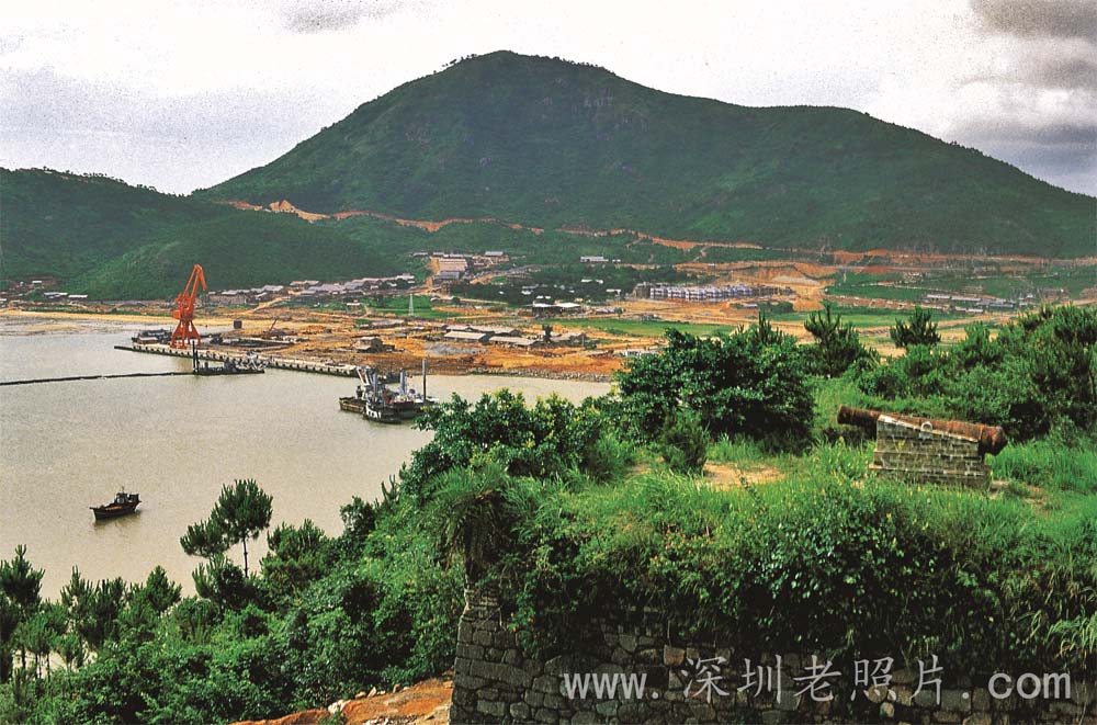 赤湾港初建（1981）